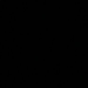 Meet your Posher, Bonnie